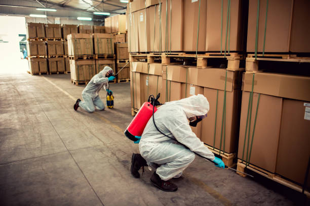 Best Best Pest Control Near Me  in Ladera Ranch, CA
