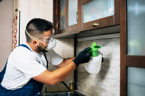 Best Pest Control for Businesses  in Ladera Ranch, CA