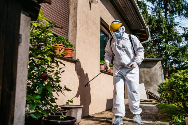 Reliable Ladera Ranch, CA Pest Control Solutions