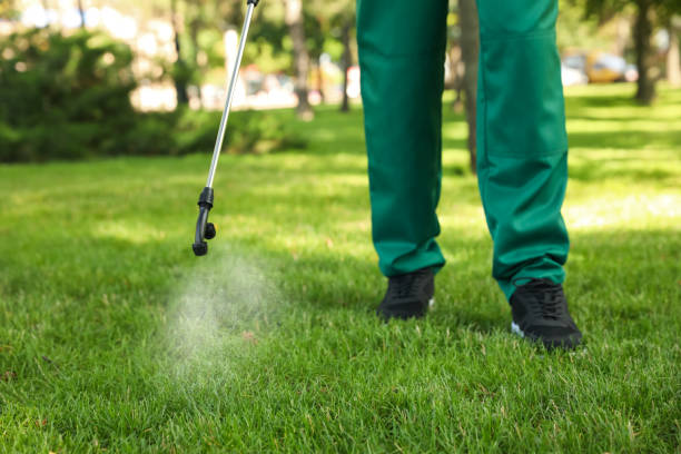 Best Termite Control Services  in Ladera Ranch, CA