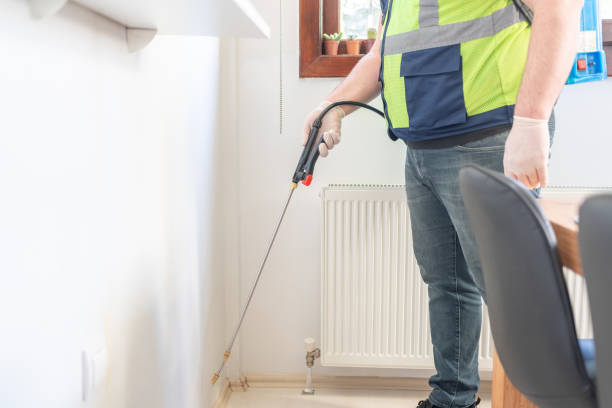 Best Flea Control Services  in Ladera Ranch, CA