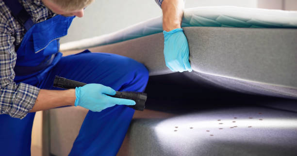 Best Pest Control Near Me  in Ladera Ranch, CA