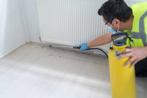 Best Affordable Pest Control Services  in Ladera Ranch, CA